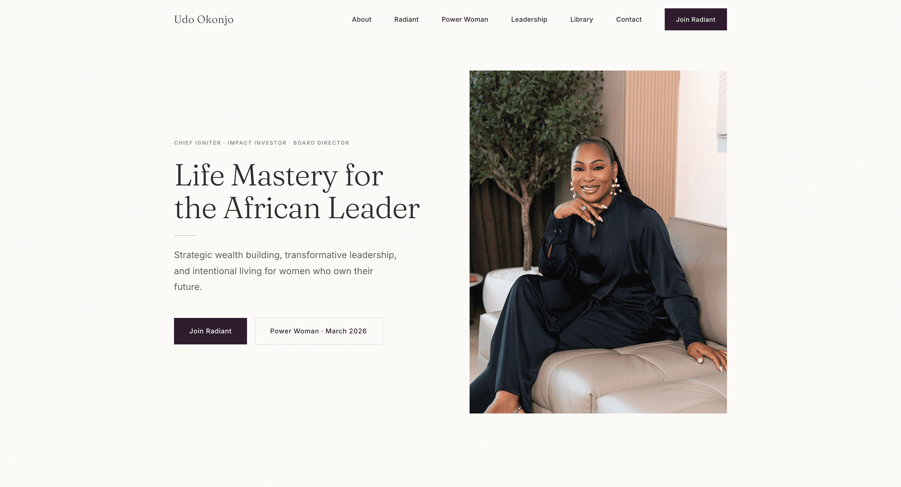 Udo Okonjo website preview